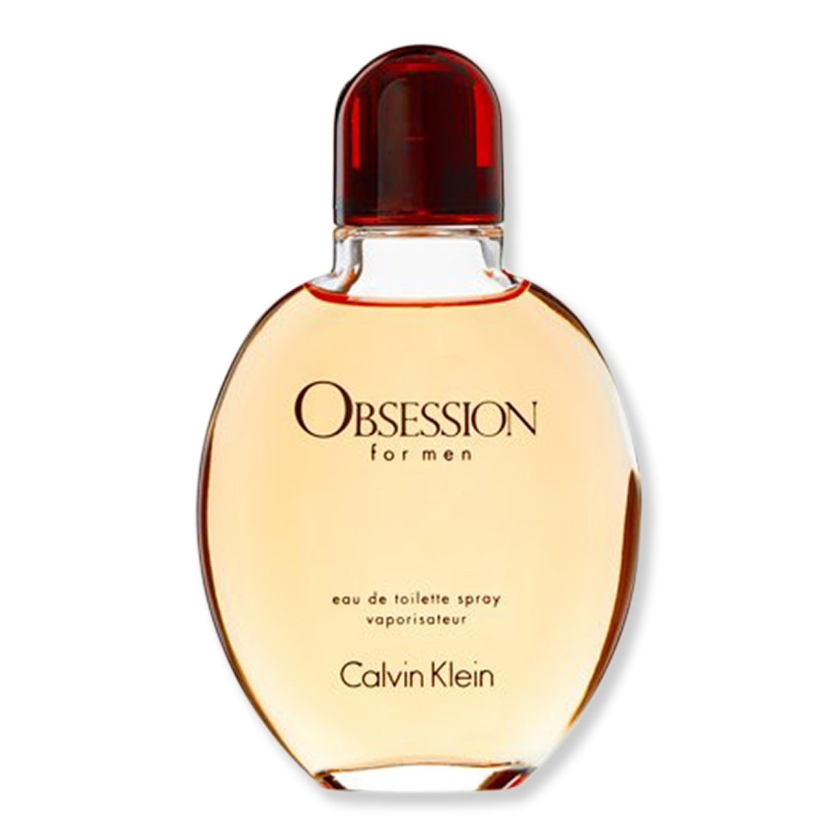 Calvin Klein Obsession Eau De Toilette Spray for Men